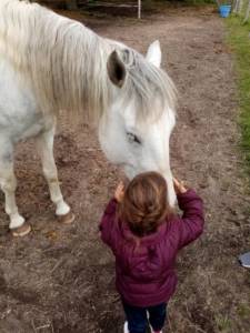 Un enfant qui carresse un cheval