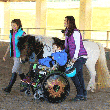 Un handicapé moteur avec un cheval sur une séance d'équithérapie