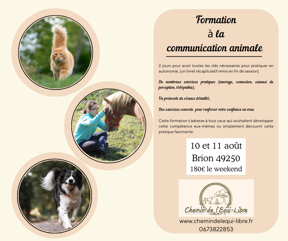 Affiche d'une formation à la communication animale