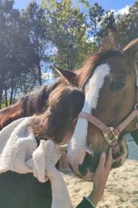 Une femme avec un cheval lors d'une séance d'équithérapie